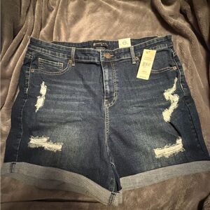 Fashion to Figure X Sarah Vargas Dark Blue Distressed Jean Shorts